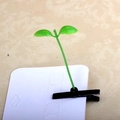 Detail view of the cute green sprout hair clip attached to white cardboard packaging. - Pure Green Bean Sprout