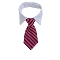 Pink and black striped pet necktie collar with white shirt collar and velcro strap - Dark Pink and Black Striped (CW 8)