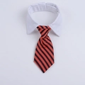 British style red and black striped pet tie with a stiff white formal shirt collar - Red and Black Striped (CW 6)
