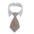 Adjustable pet collar featuring a white collar and beige necktie with star pattern - Khaki Star Pattern (CW 10)