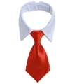 Adjustable pet formal collar featuring a crisp white shirt lapel and a bright red satin tie - Solid Red (CW 20)