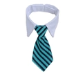 Adjustable pet collar with white shirt collar and blue-green striped necktie accessory - S / Green and Black Striped (CW 3)