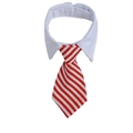 Formal pet collar featuring a white shirt collar and red-white striped tie - Red and White Striped (CW 5)