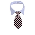 Pink and black striped pet necktie collar with white shirt neck for formal dogs - Pink and Black Striped (CW 7)