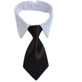 Formal pet tuxedo collar with white shirt lapel and black necktie for cats and small dogs - Solid Black (CW 19)