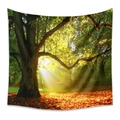 Bohemian tapestry featuring a sunlit autumn forest with golden trees and fallen leaves - 73X95CM (Cross-border Brushed) / Golden Autumn Ancient Tree Light (GT111007)