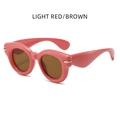 Stylish oversized round sunglasses with light red frames and brown lenses - Light Red/Brown (LIGHT RED/BROWN)