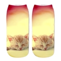 Détail de chaussettes à impression numérique 3D montrant un motif de chat orange endormi - Chat orange qui dort