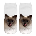 Chaussettes basses unisexe imprimées 3D motif chat ragdoll mignon avec yeux bleus - Chat Ragdoll se léchant le nez