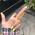 Amarillo y Verde