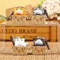 Set of four 3D cartoon cat keychains in miniature boxes with a warm wooden background - Dust Plug / Seeking Adoption Cat