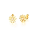 Gros plan détaillé des boucles d'oreilles S925 fleurs avec pétales jaunes et zircon - Or - Zircone Jaune
