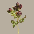 Artificial vintage dark red rose branch with five flower heads for home decoration - 5 Heads/Branch / Dark Purple