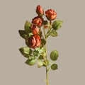 Artificial rose branch with vintage orange-brown flower heads and green leaves - 5 Heads/Branch / Burnt Orange