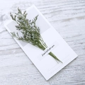 Dried green flower bouquet on white greeting card with Especially for you text - Limonium