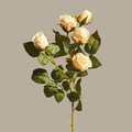 Vintage style champagne artificial silk rose bouquet with realistic burnt edge details - 5 Heads/Branch / White