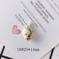 Macro shot of vintage style spiral seashell pendant with silver metal ring on card - Style 18# Beige Brown Pendant (25*14mm)