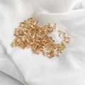 Convertisseur de Boucle d'Oreille (1 pc) / Or