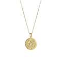 Golden stainless steel necklace with a round rose flower pendant and tiny zircon stones - January - Carnation