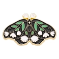 Green Leaf White Flower Moth (XZ6955)