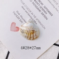 Macro detail of natural seashell charm with gold loop on vintage invitation card - Style 4# Radial Shell (28*27mm)