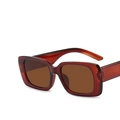 Retro square sunglasses with semi-transparent reddish-brown frames and dark brown lenses - Dark Tea Frame Tea Lens