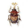 Artistic golden beetle brooch with amber gradient rhinestones on a white background - Brown