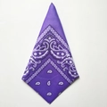 Detail view of purple paisley polyester bandana folded in a triangle for hip-hop style - Light Purple