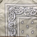 Close-up of light green paisley bandana fabric showing detailed stitching and texture - Beige
