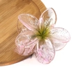 Detail of pink translucent frangipani hair claw clip with silver glitter and green center - Glitter Transparent Flower Claw [Green]