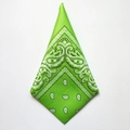Close-up of green paisley bandana with white floral pattern on a flat polyester fabric - Light Green