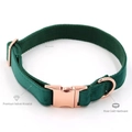 Close-up of forest green velvet dog collar with premium rose gold metal buckle and D-ring - XS / Green