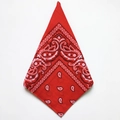Red paisley bandana featuring classic paisley print folded in a triangular shape for hip-hop - Red