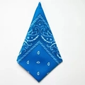Detailed close-up of blue paisley bandana neatly folded in a triangular shape - Lake Blue