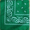 Close-up of green paisley bandana with white floral pattern on a wood surface - Dark Green