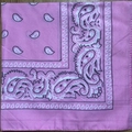 Flat lay of a pink paisley bandana with traditional cashew flower pattern on wood surface - Pink