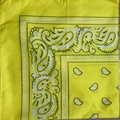 Detail of yellow paisley bandana fabric showing intricate black and white patterns - Light Yellow