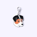 12 Jack Russell