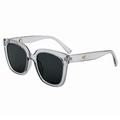 Chic transparent grey sunglasses with black lenses and gold circular metal accents - Translucent Grey Frame Grey Lens