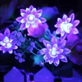 Solar powered 7m lotus flower LED string lights for outdoor garden decoration - Purple