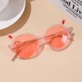 Poudre De Cadre Transparente {oreilles De Lapin}