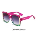 Regular / Purple Frame Gray Lens