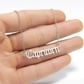 Collar con colgante del zodiaco Capricornio de acero inoxidable plateado en la mano - Capricornio Acero