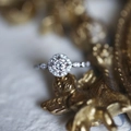Luxurious halo diamond ring with brilliant round center stone on vintage gold relief - Adjustable Open / White Gold