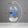 Hanging glass fish bowl with a white metal stand and dimensions of 28cm total height - White Stand/Capsule Bowl (Size XXL)/With Decor