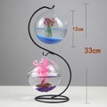 Double tiered hanging glass fish bowl with black S-shaped metal stand and 33cm height - S-Type Black Stand/Twin Wide Mouth Bowls (Size M)/With Decor
