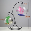 Black metal stand with dual hanging glass fish bowls, 35cm height minimalist design - Double Hook Black Stand/Round & Wide Mouth Bowl Combo/With Decor