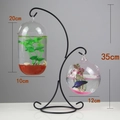 Hanging glass fish bowls with 35cm black iron stand, capsule and globe shapes - Double Hook Black Stand/Round & Capsule Bowl Combo/With Decor