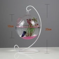 Hängendes Glas-Aquarium mit weißem S-Ständer und rosa Sand, Höhe 23cm - Weißer Ständer/Runde Schüssel (Größe S)/Mit Dekor