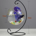 Hanging glass globe fish bowl with 12cm diameter on black metal stand for bettas - Black Stand/Round Bowl (Size M)/With Decor